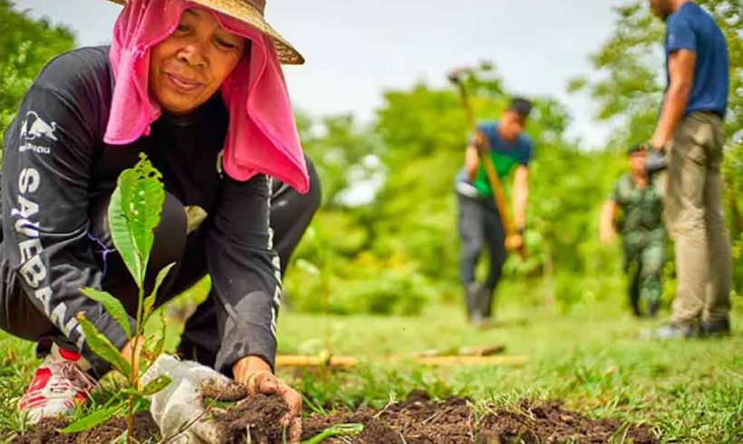 Worldwide Effort Worldwide Effort