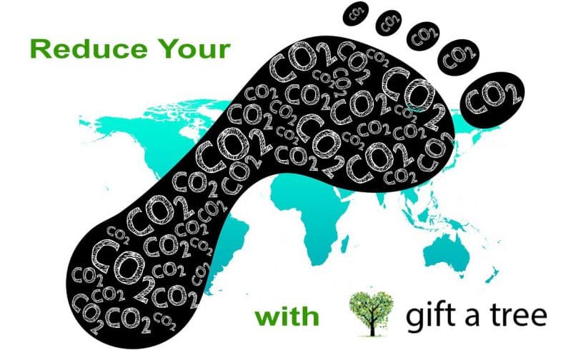 Offset Your CO2 Emissions & Reduce Your Carbon Footprint Offset Your CO2 Emissions & Reduce Your Carbon Footprint