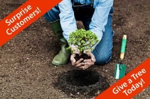 Corporate and business tree planting