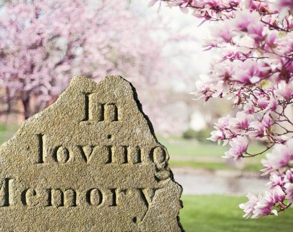 Gift a Tree to Someone Special – Past or Present