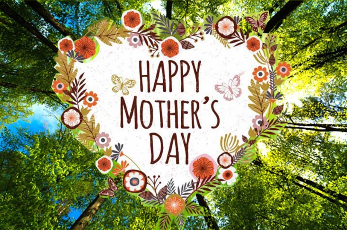 A Caring Gift for Mothers Day + FREE Bird Hotel! A Caring Gift for Mothers Day + FREE Bird Hotel!