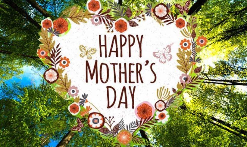 A Caring Gift for Mothers Day + FREE Bird Hotel! A Caring Gift for Mothers Day + FREE Bird Hotel!
