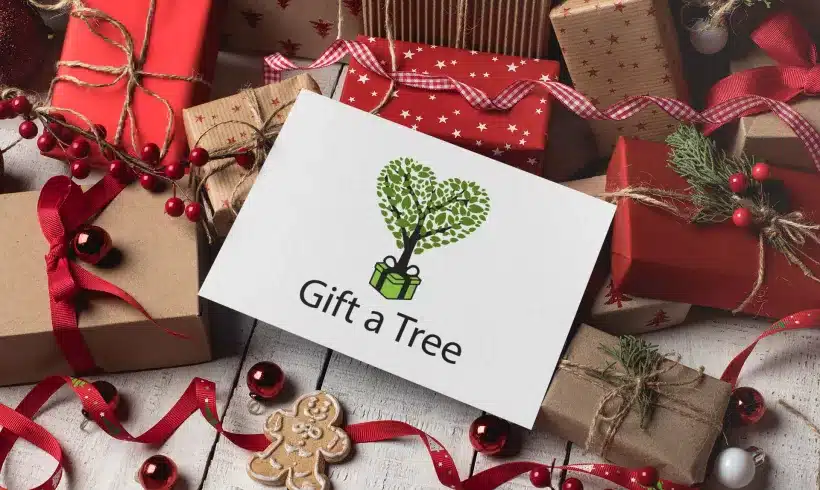 Eco-Friendly Christmas Gifts Eco-Friendly Christmas Gifts