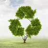 How to Create a Green Policy