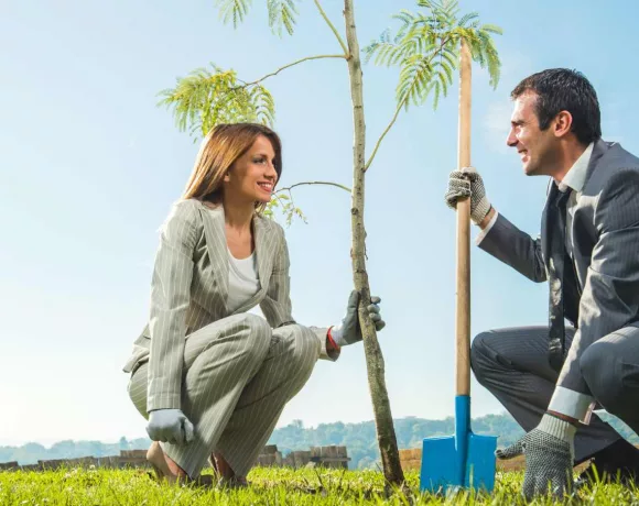 Tree Planting Benefits