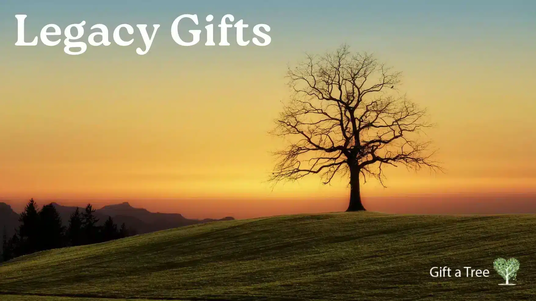 Leave a legacy gift in your will