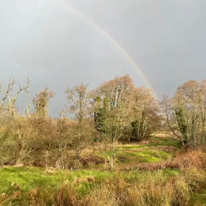 Re-wilding the United Kingdom