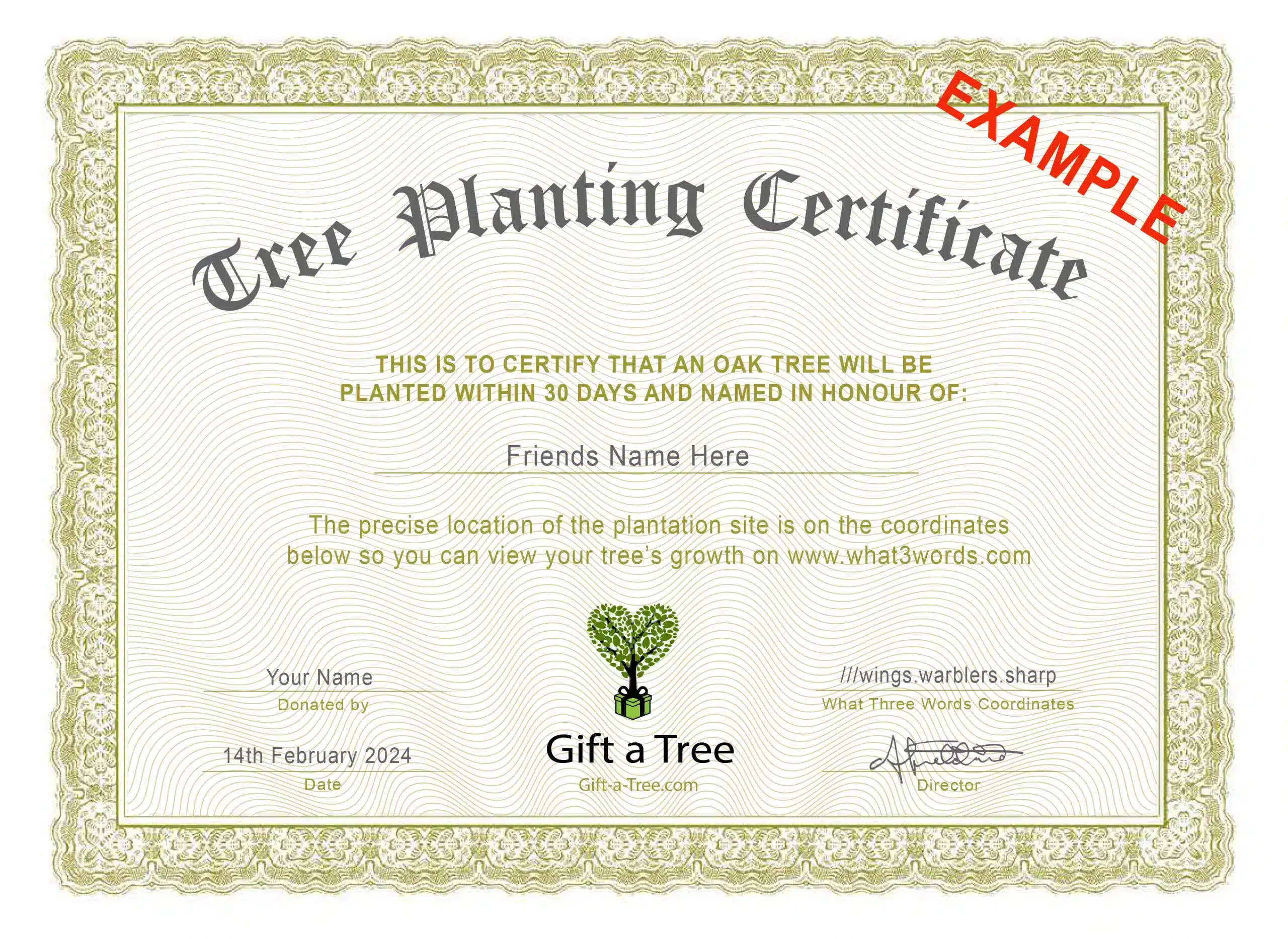 Tree Gift Certification