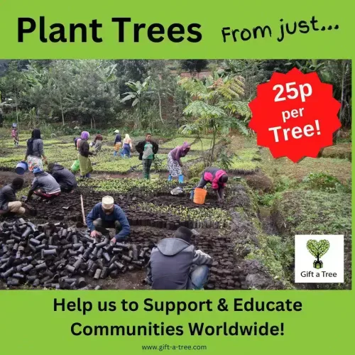 Cheap tree planting