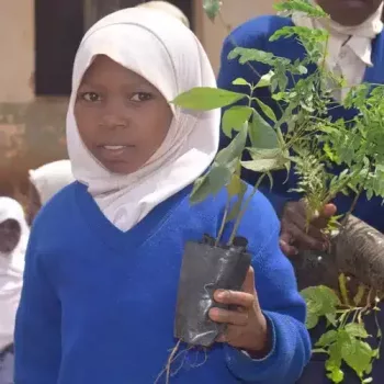Educating children about trees